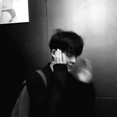 兽设清新风格设计兽圈社群